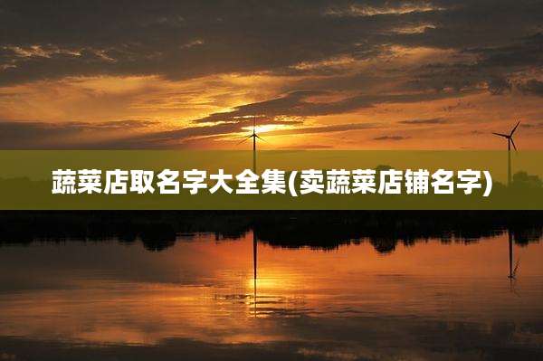 蔬菜店取名字大全集(卖蔬菜店铺名字)