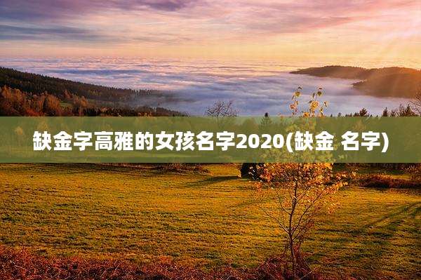 缺金字高雅的女孩名字2020(缺金 名字)