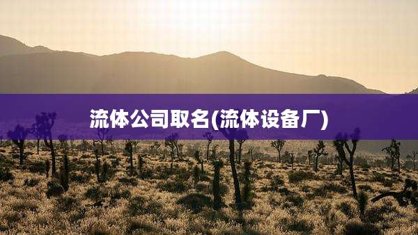 流体公司取名(流体设备厂)