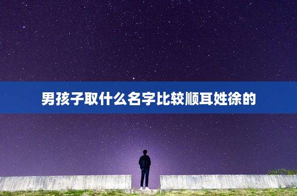 男孩子取什么名字比较顺耳姓徐的