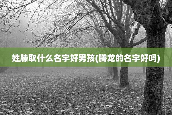 姓滕取什么名字好男孩(腾龙的名字好吗)