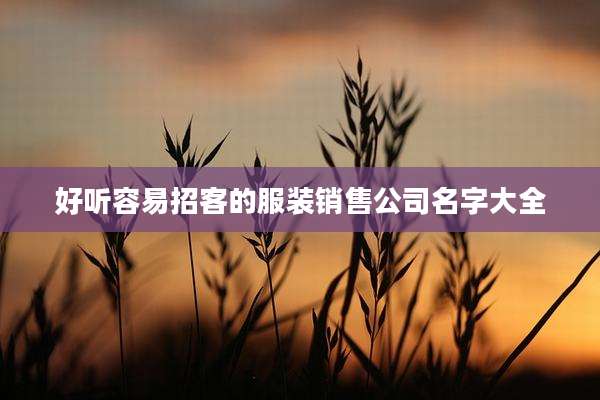 好听容易招客的服装销售公司名字大全