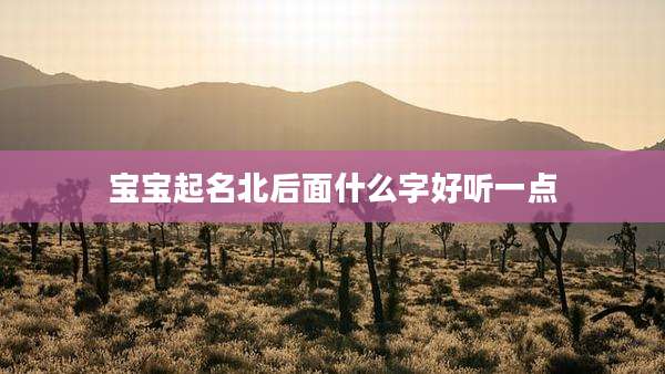 宝宝起名北后面什么字好听一点