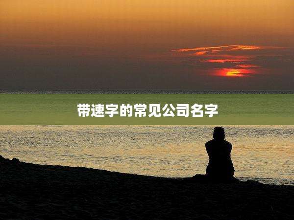带速字的常见公司名字