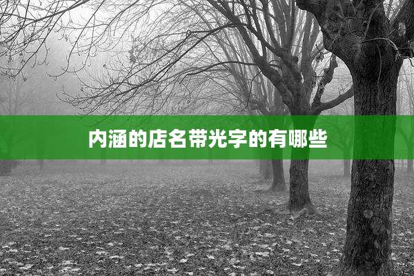 内涵的店名带光字的有哪些