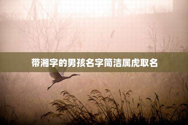 带湘字的男孩名字简洁属虎取名