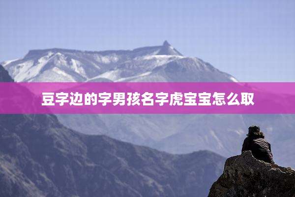 豆字边的字男孩名字虎宝宝怎么取