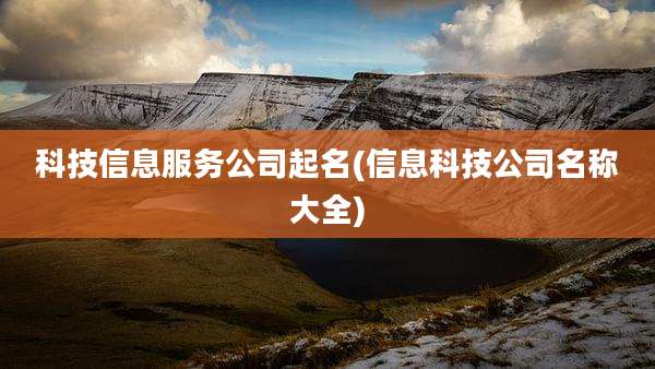 科技信息服务公司起名(信息科技公司名称大全)