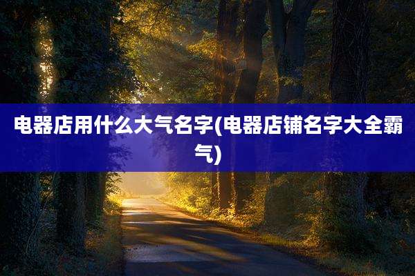电器店用什么大气名字(电器店铺名字大全霸气)