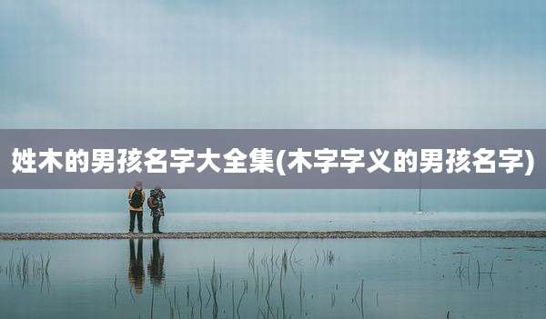姓木的男孩名字大全集(木字字义的男孩名字)