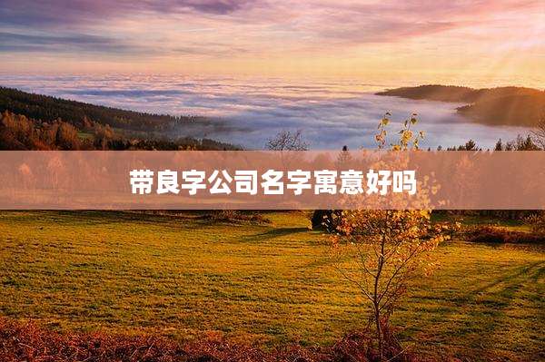 带良字公司名字寓意好吗