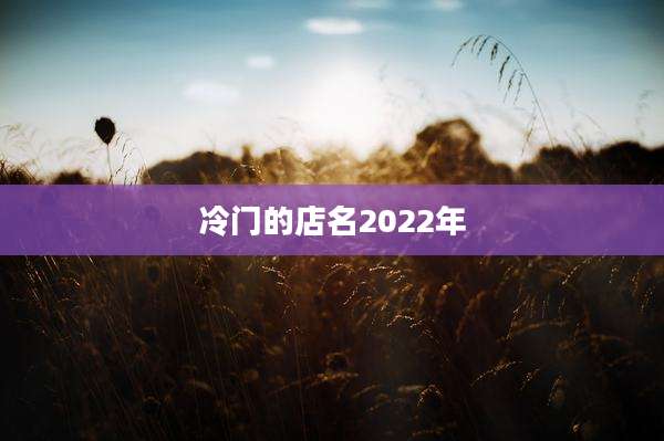 冷门的店名2022年