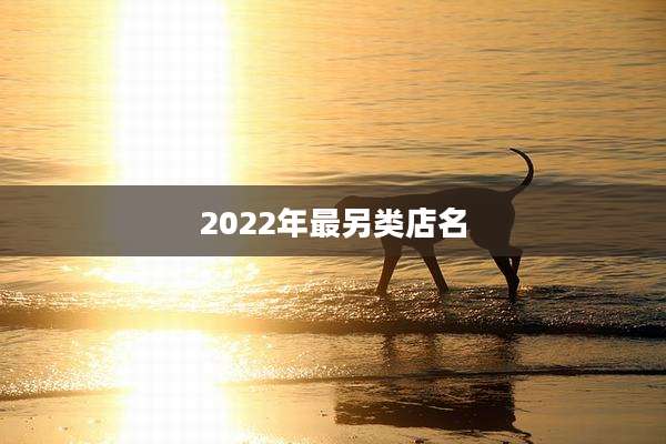 2022年最另类店名
