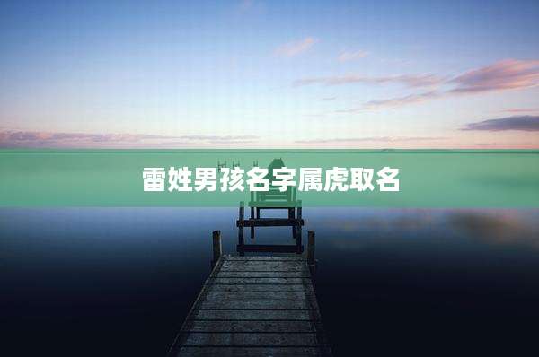 雷姓男孩名字属虎取名