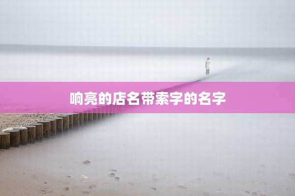 响亮的店名带索字的名字