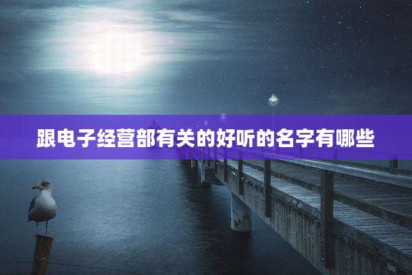 跟电子经营部有关的好听的名字有哪些