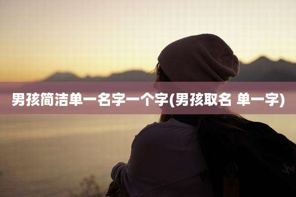 男孩简洁单一名字一个字(男孩取名 单一字)