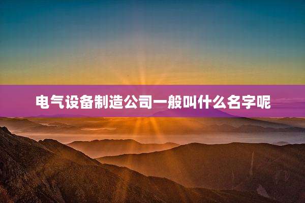 电气设备制造公司一般叫什么名字呢