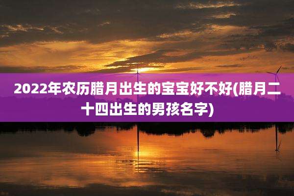 2022年农历腊月出生的宝宝好不好(腊月二十四出生的男孩名字)