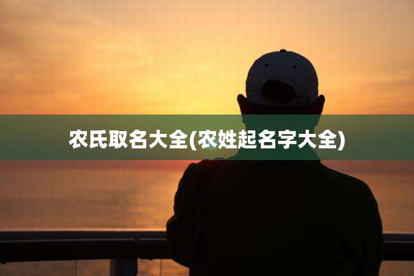 农氏取名大全(农姓起名字大全)