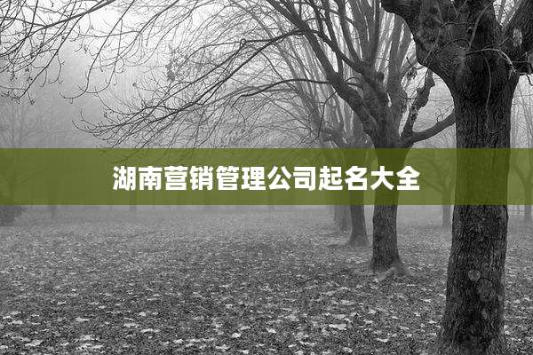 湖南营销管理公司起名大全