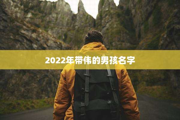 2022年带伟的男孩名字
