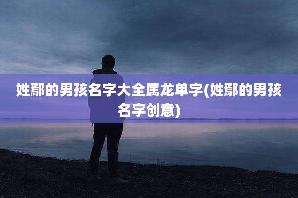 姓鄢的男孩名字大全属龙单字(姓鄢的男孩名字创意)