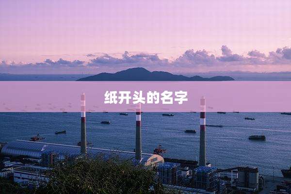 纸开头的名字