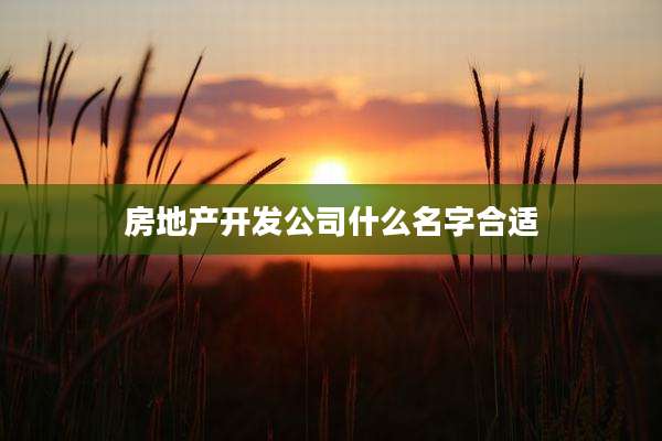 房地产开发公司什么名字合适