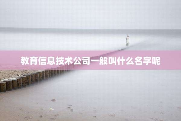 教育信息技术公司一般叫什么名字呢