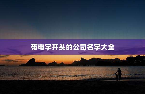 带电字开头的公司名字大全