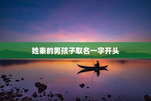 姓秦的男孩子取名一字开头