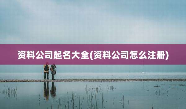 资料公司起名大全(资料公司怎么注册)