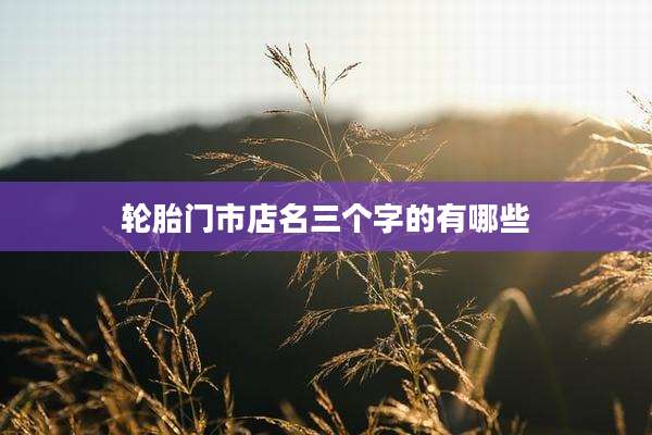 轮胎门市店名三个字的有哪些