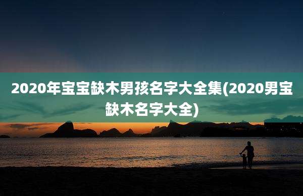 2020年宝宝缺木男孩名字大全集(2020男宝缺木名字大全)