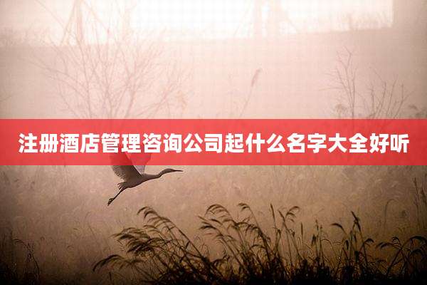 注册酒店管理咨询公司起什么名字大全好听