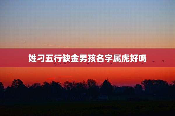 姓刁五行缺金男孩名字属虎好吗