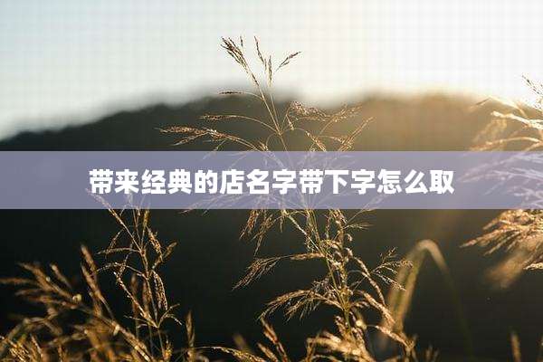 带来经典的店名字带下字怎么取