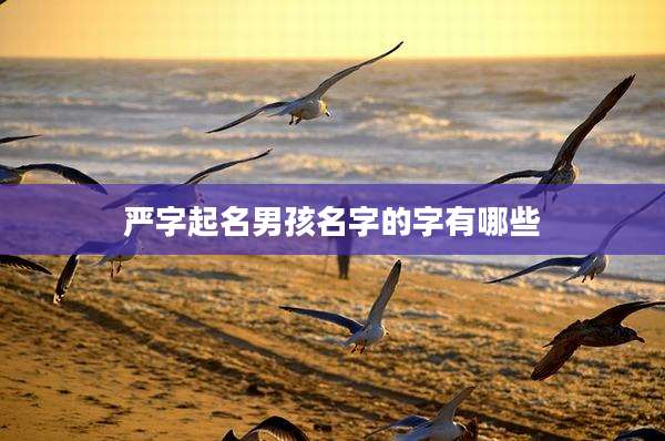 严字起名男孩名字的字有哪些