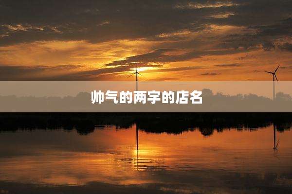 帅气的两字的店名