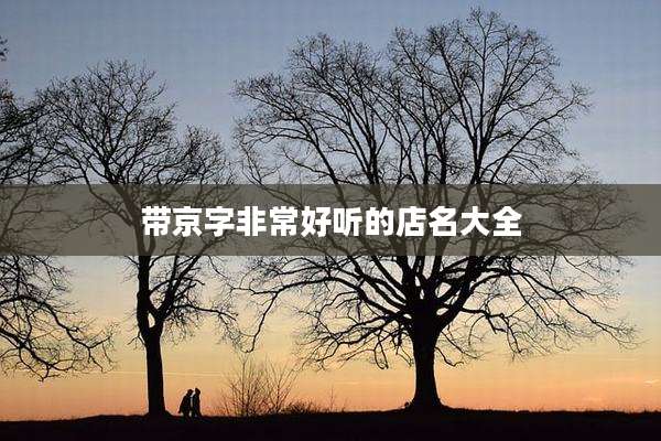 带京字非常好听的店名大全