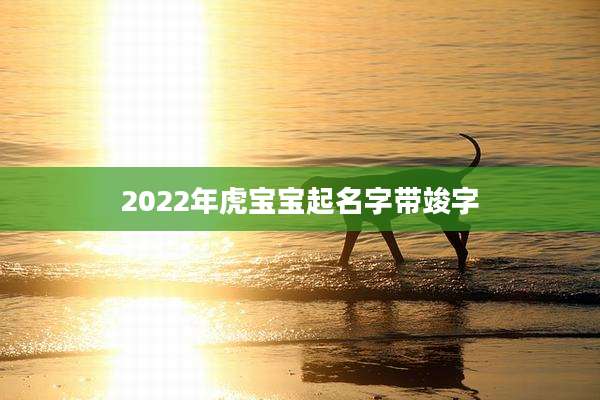 2022年虎宝宝起名字带竣字