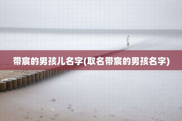带宸的男孩儿名字(取名带宸的男孩名字)