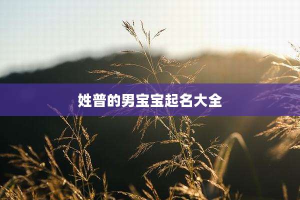 姓普的男宝宝起名大全