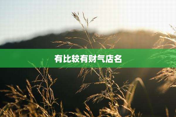 有比较有财气店名