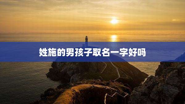 姓施的男孩子取名一字好吗