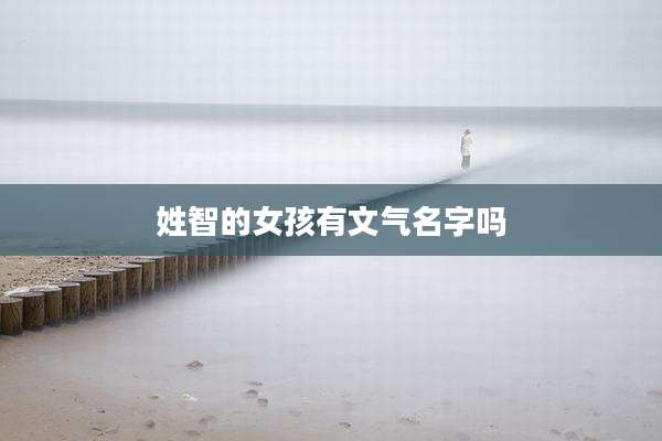 姓智的女孩有文气名字吗