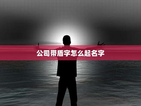 公司带盾字怎么起名字