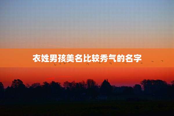 衣姓男孩美名比较秀气的名字