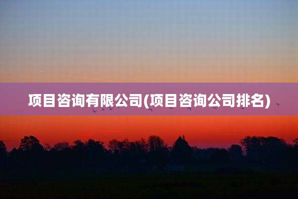 项目咨询有限公司(项目咨询公司排名)